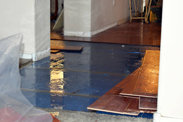 Professional Burst Pipe Cleanup technician working in Kemp, TX